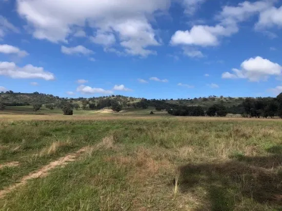 5.5 Acres with TOWN WATER!