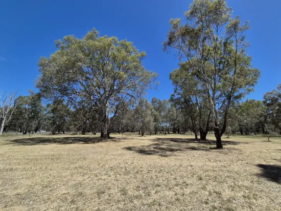 2 Acres - Bitumen Frontage - Established Trees - Short Drive to Shopping