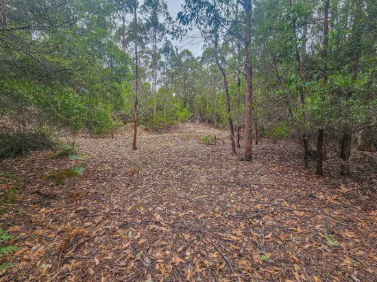 69 Acres of Peace, Nature and a Place to Explore