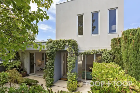 Spacious, Secluded, City-Fringe Living