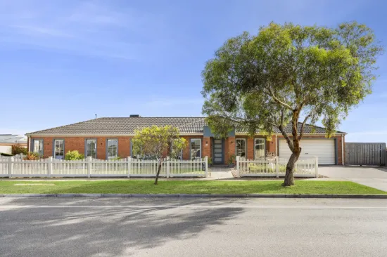 Spacious, Light-Filled Living in a Quiet Pocket