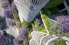Forbes Residences