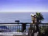 Elevated Coastal Living In A Peaceful Korora Enclave...