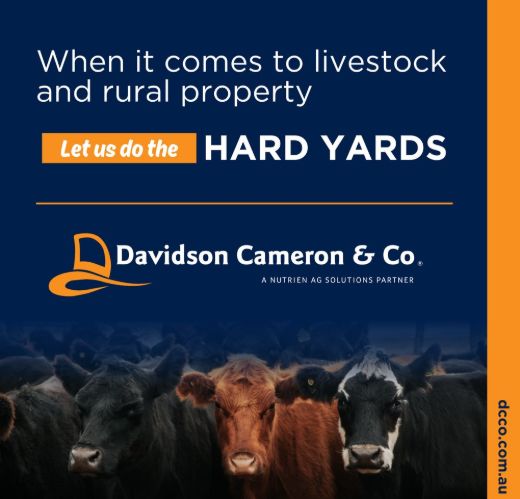 Courtney Wark - Real Estate Agent at Davidson Cameron & Co - Tamworth