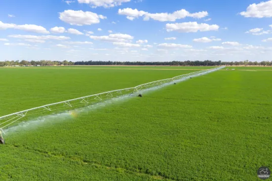 Consolidated Goulburn Valley grazing and cropping - 1,235ha / 3,050 acres