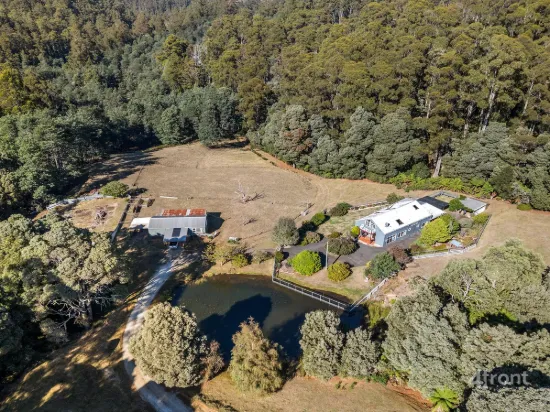A Rare Sanctuary of Scale and Soul: 95 Acres of Tasmanian Wilderness