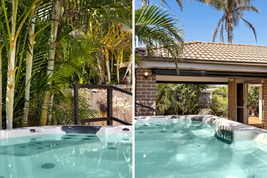 Palm-Fringed Privacy with a Polished Edge