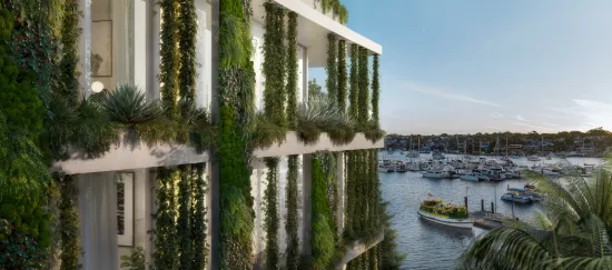 Oasis