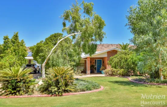 Family Oasis!