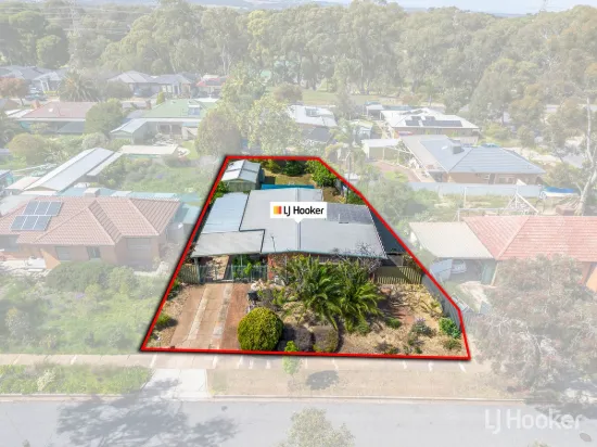 Endless Possibilities in the Heart of Elizabeth Vale
