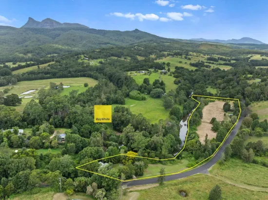 Absolute Creek frontage acreage…  (Tyalgum)