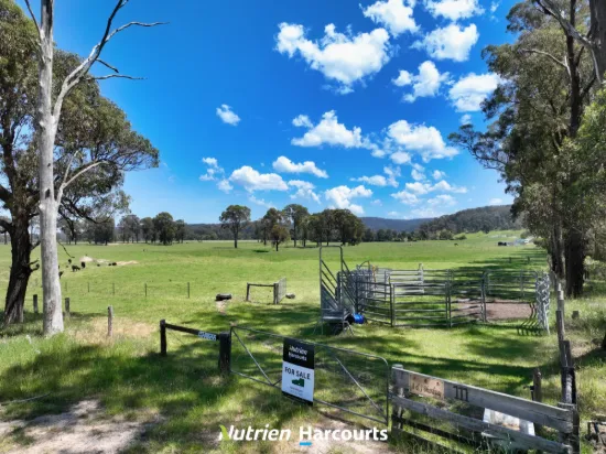 100 Acre Rural allotment  