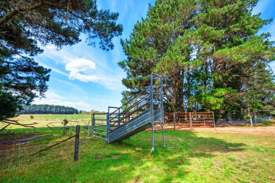 Picturesque Grazing Acres with Sapling Yard Creek Frontage