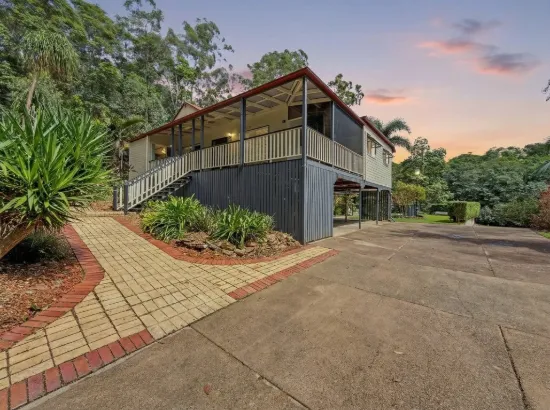 Stylish Highset Home with Tranquil Reserve Outlook