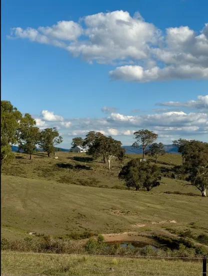MID WESTERN REGIONAL COUNCIL SALE OF LAND FOR UNPAID RATES