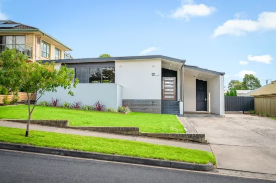 Stylishly Renovated Home with Exceptional Shedding
