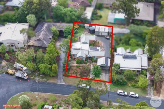 Serene Family Living Amidst the Treetops of Mount Helen