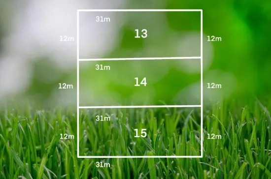 Build Your Dream Home in the Heart of Diamond Creek