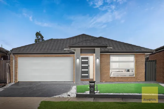 North-Facing Beauty - Fully Upgraded, Big Bedrooms & Move-In Ready
