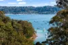 A Private Pittwater Treehouse with Breathtaking Views