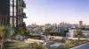 The Avenues, Zetland