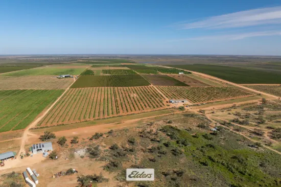 'Neilpo Heights' – Premium Horticultural Holding