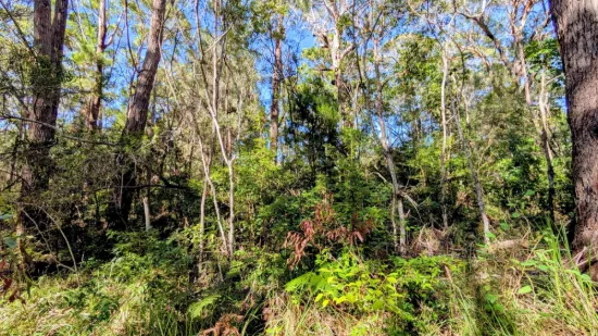 650m² Vacant Land in Central Russell Island – Walk to Shops & Ferry