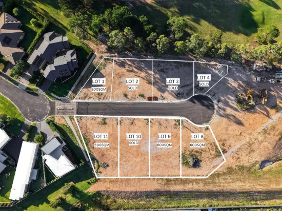 ACE VIEW ESTATE
