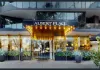Elevated Luxury Living at Albert Place