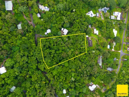 A Rare Rainforest Opportunity Awaiting Your Vision
