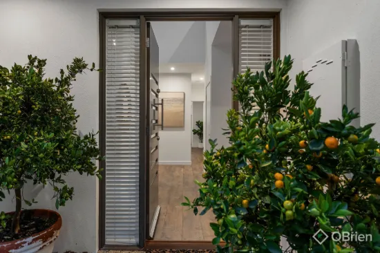 Where Space, Light & Lifestyle Converge