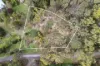 Life amongst the Gum Trees