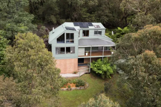 Private Treetop Sanctuary