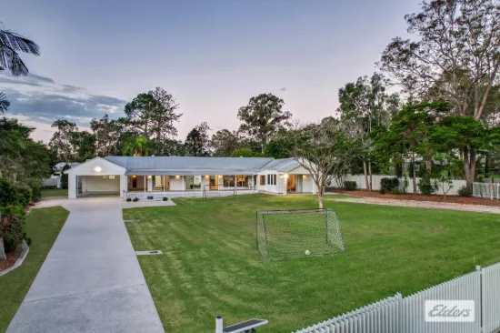 Large, Stylish, Spacious Living with a Complete Renovation and Flexible Dual Living Setup
