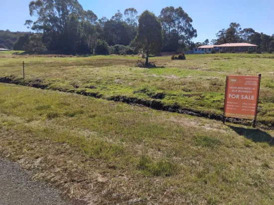 “Affordable Land” asking $49,000
