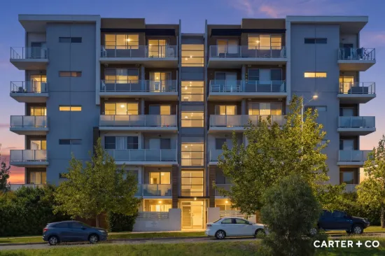Sunlit Style Meets Spacious Modern Living
