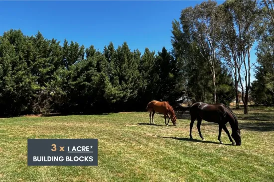 3 x 1ACRE* BUILDING BLOCKS JUST 10MINS FROM COWRA!
