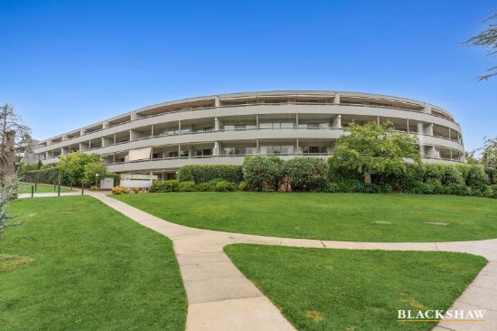 Light-filled living in a premier Inner South setting