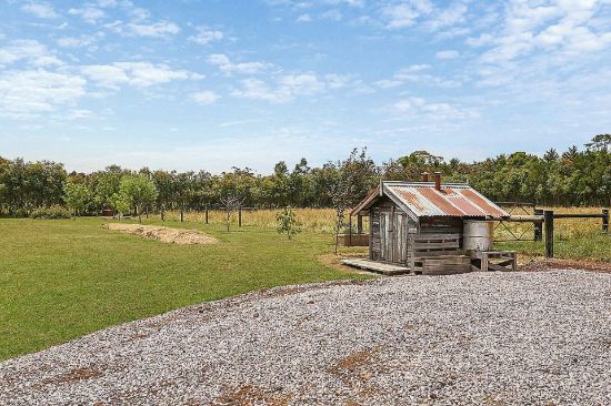 Ray White - Camperdown - Real Estate Agency