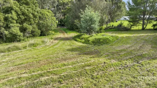 From the Lane to the Creek - Bring you ideas to life