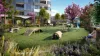 Woden Green