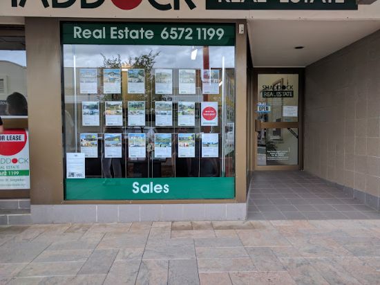 Shaddock Real Estate - Singleton - Real Estate Agency