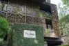 The Tree House