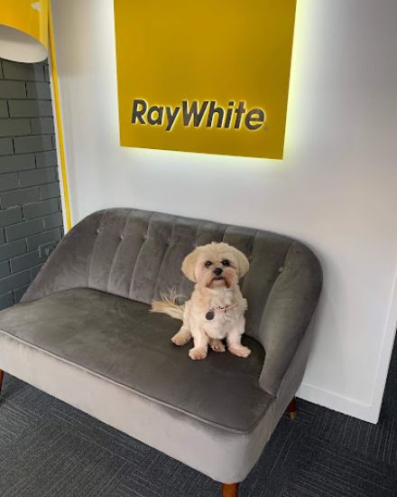 Ray White - Alexandra Hills - Real Estate Agency