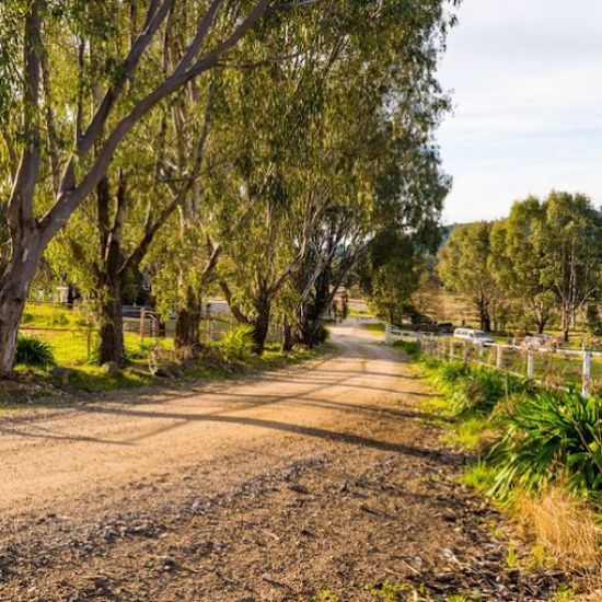 ProjectDelivery.co - WODONGA - Real Estate Agency