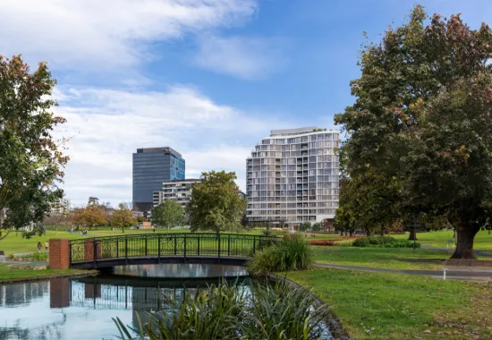 Irving Domain, Box Hill