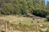 RURAL LIVING MINUTES FROM TOWN
