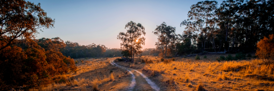 David Mattock Real Estate - Hovea - Real Estate Agency