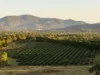 100 acre oasis 15 minutes from Hume Freeway