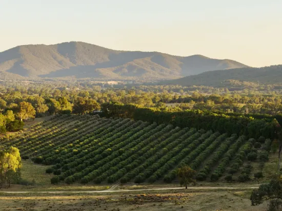 100 acre oasis 15 minutes from Hume Freeway